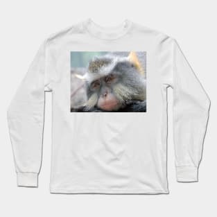 Macaque,Relaxing,Old World Monkeys Long Sleeve T-Shirt